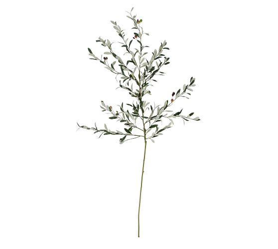 Faux Olive Branch | Artificial Flowers | Pottery Barn