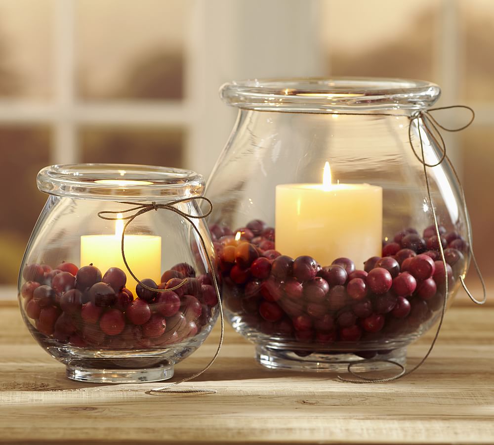 Cranberry Vase Filler | Pottery Barn