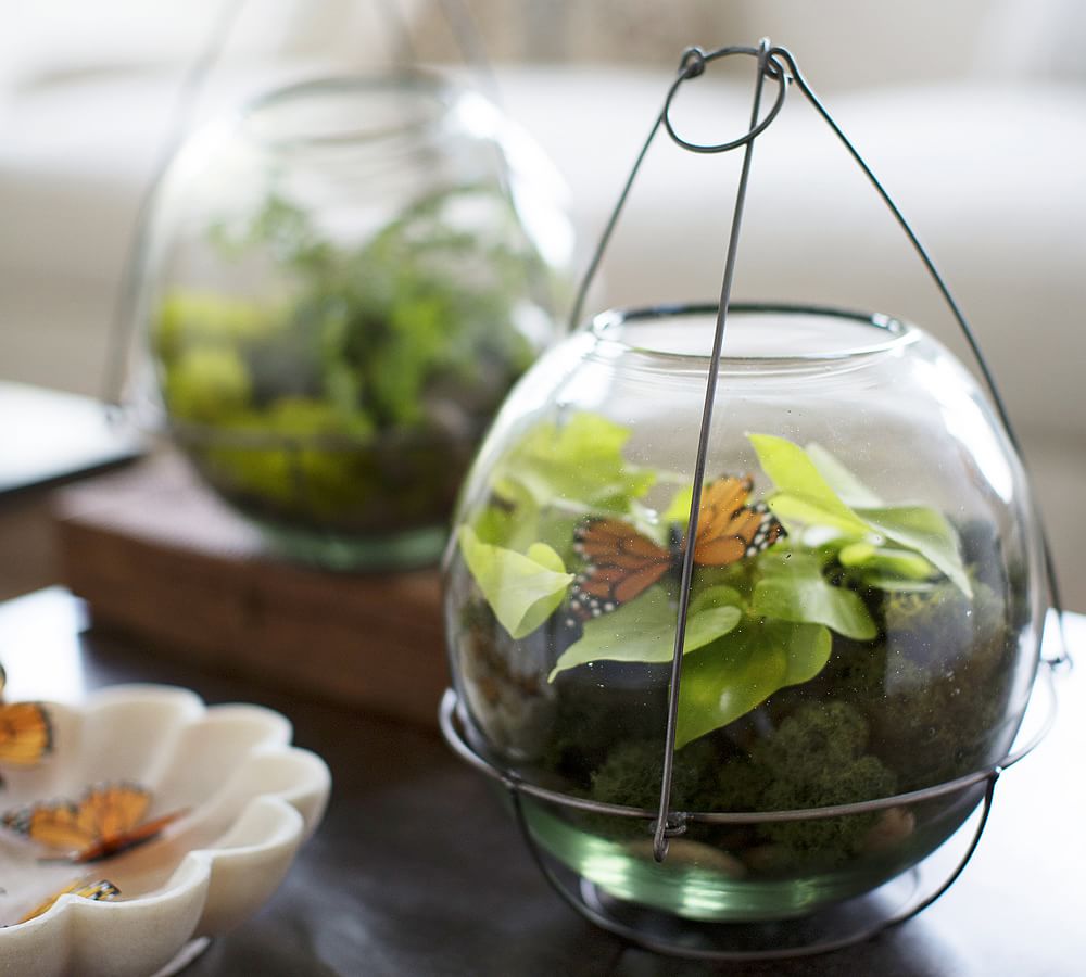 Recycled Glass Terrarium Pottery Barn