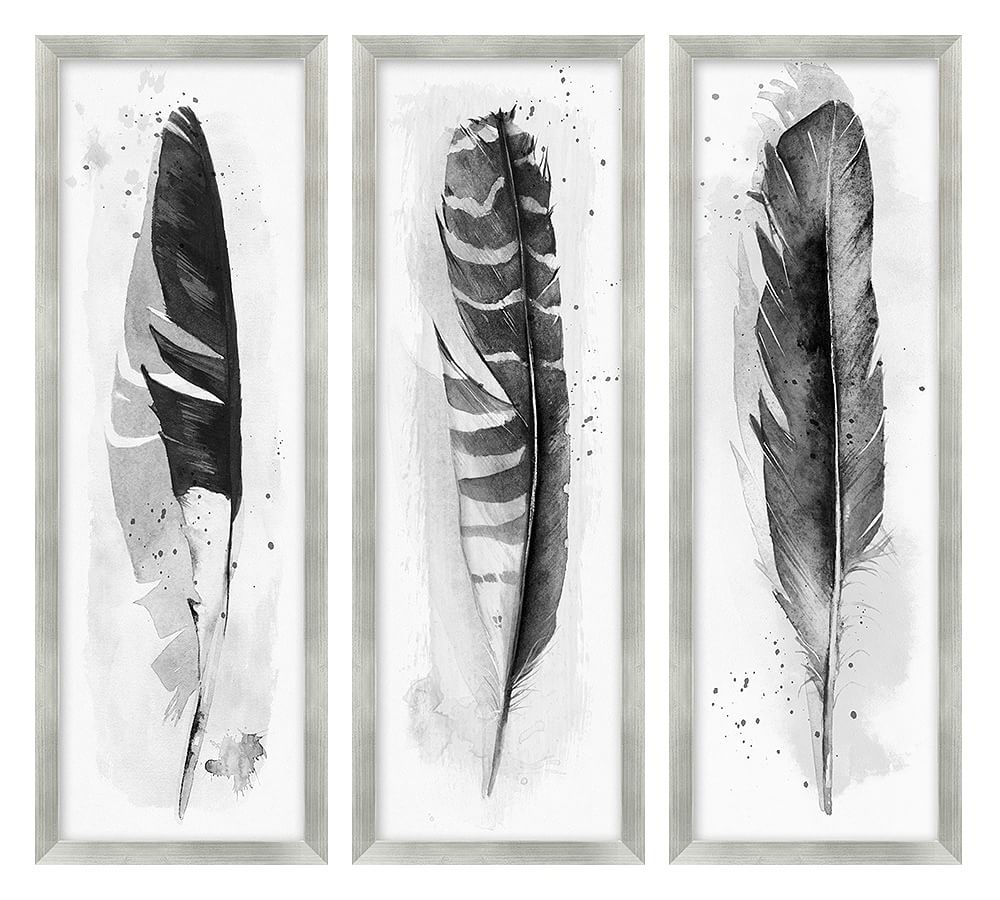 Ink Wash Feather Framed Print | Pottery Barn