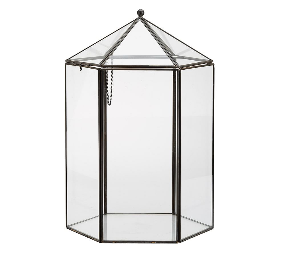 Glass Terrarium Pottery Barn