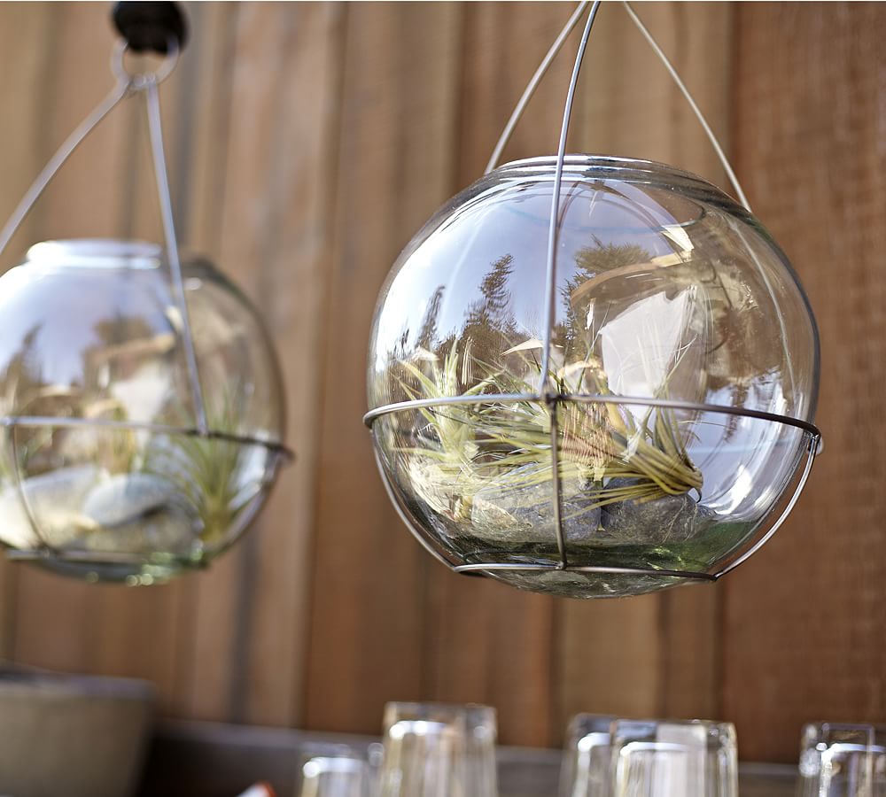 Recycled Glass Terrarium Pottery Barn