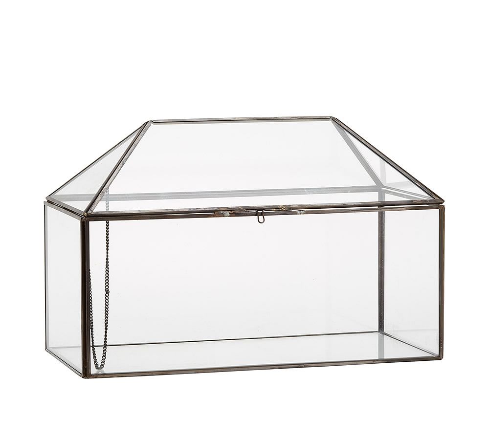 Glass Terrarium | Pottery Barn