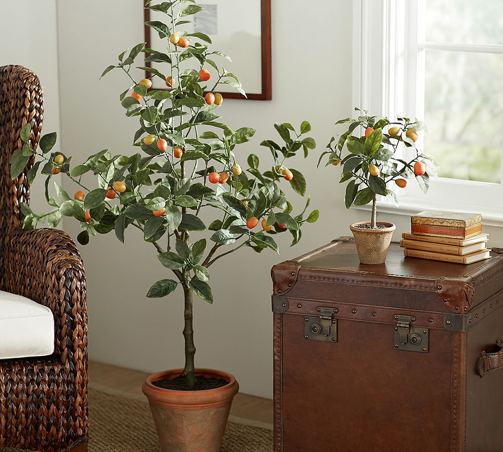 Faux Potted Kumquat Tree Artificial Flowers Pottery Barn