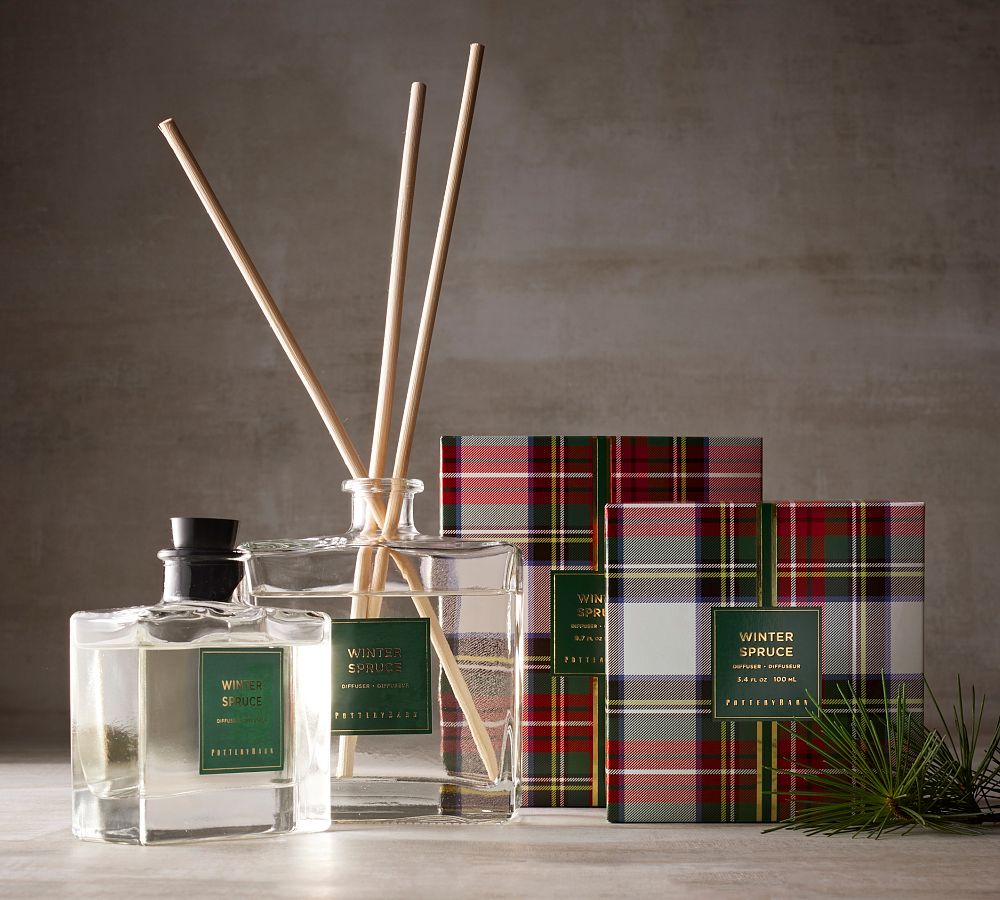 Winter Spruce Scent Collection | Pottery Barn