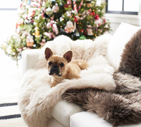 Luxe Faux Fur Pet Throw Blanket Pottery Barn