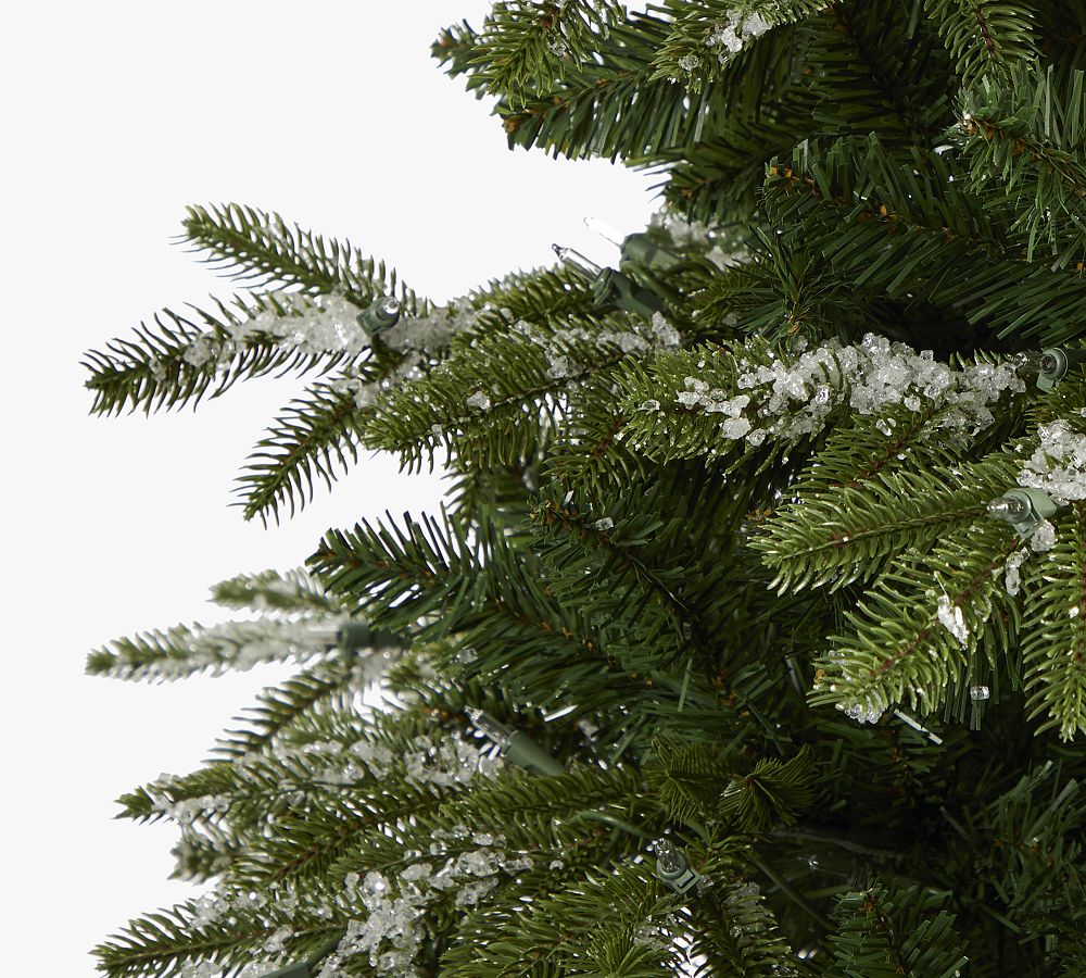 Lit Flocked Grand Teton Faux Christmas Tree Pottery Barn