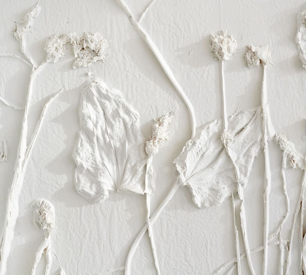 Pressed Botanical Wall Art Pottery Barn