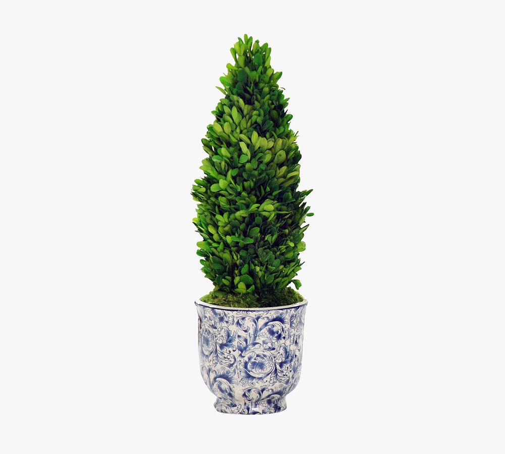 Faux Boxwood Cone Topiary In Ceramic Pot Pottery Barn