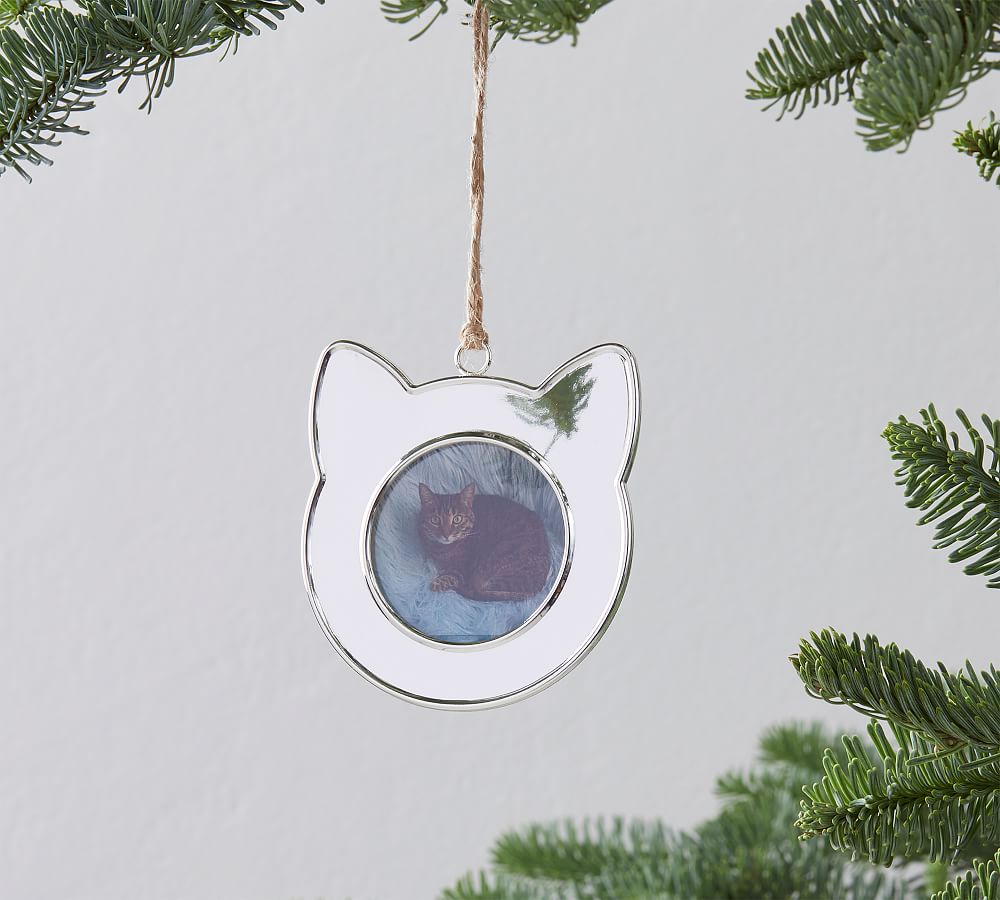 Silver Cat Frame Ornament Pottery Barn
