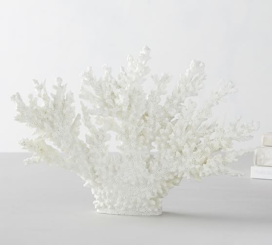 White Spike Coral Pottery Barn
