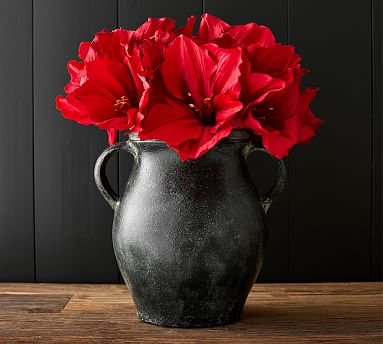 Faux Amaryllis Stem | Pottery Barn