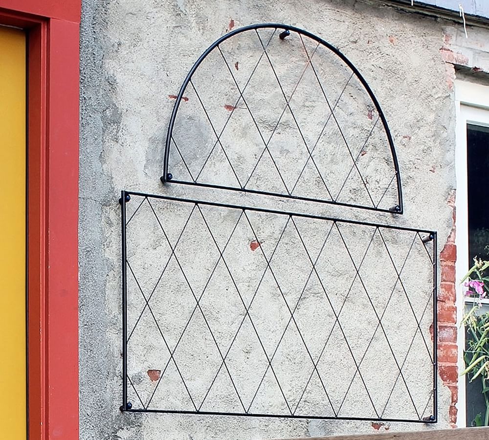 https://assets.pbimgs.com/pbimgs/rk/images/dp/wcm/202337/0133/clarence-wall-mounted-trellis-set-l.jpg