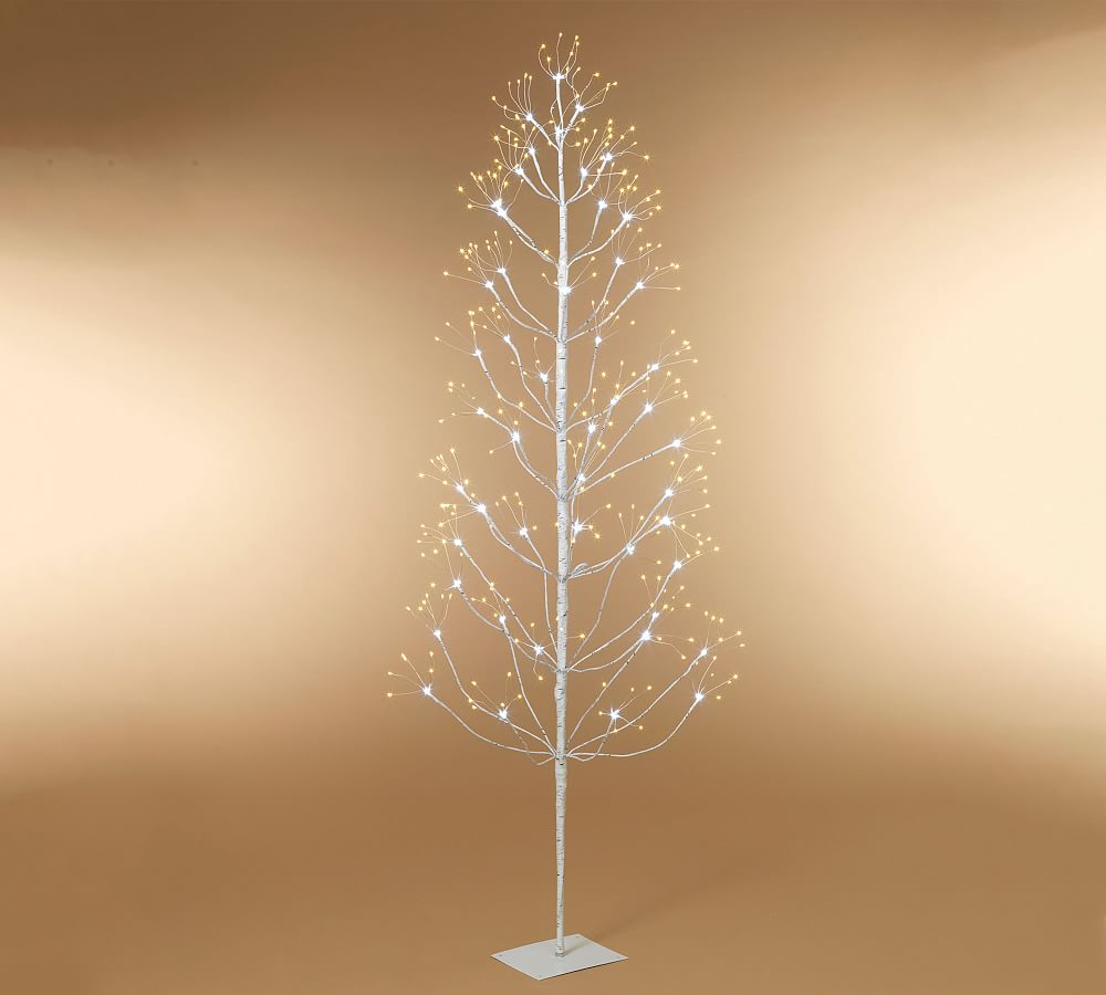 Lit Fairy Birch Tree Pottery Barn