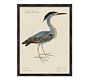 Great Blue Heron Print | Pottery Barn