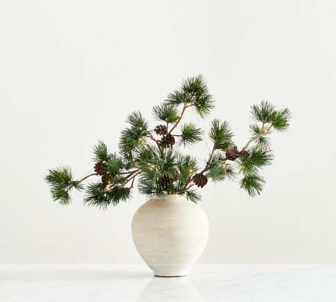 pottery barn juniper branch led｜TikTok Search