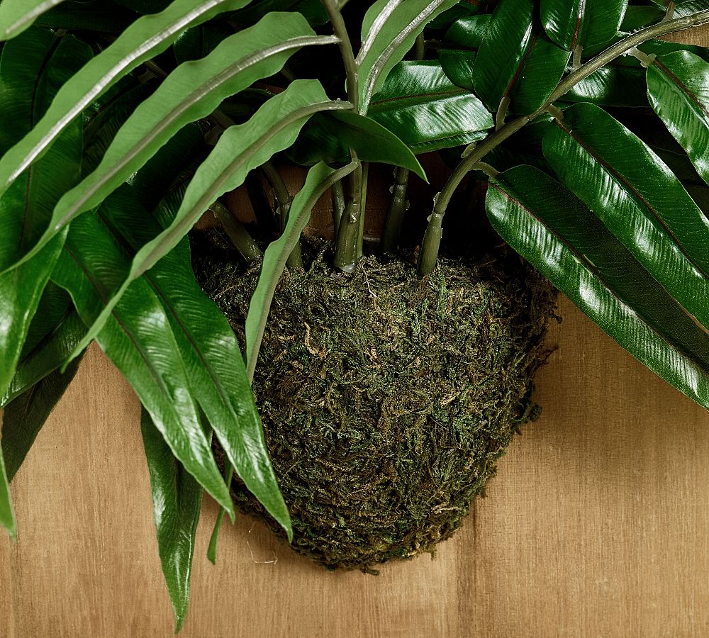 Faux Fern Wall Art Pottery Barn