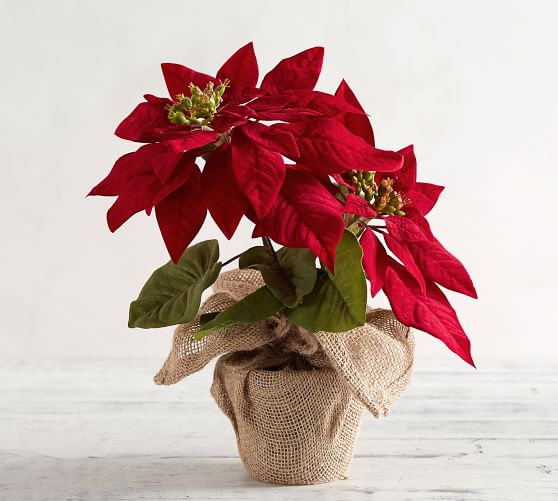 Faux Potted Red Poinsettia | Artificial Flowers | Pottery Barn