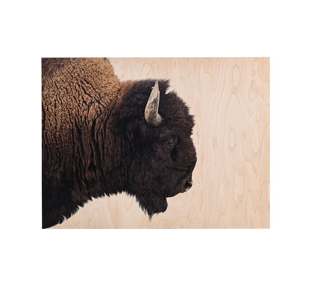 American Bison Wood Wall Art