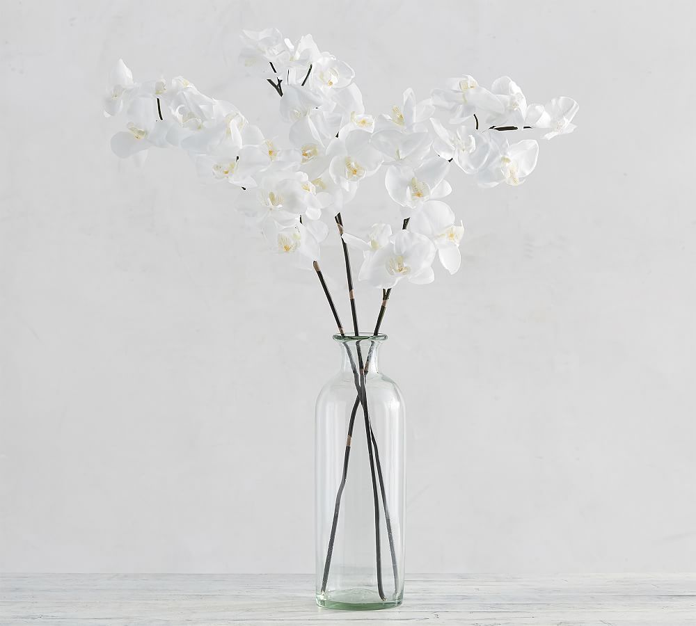 Faux Phalaenopsis Orchid Stem White Pottery Barn