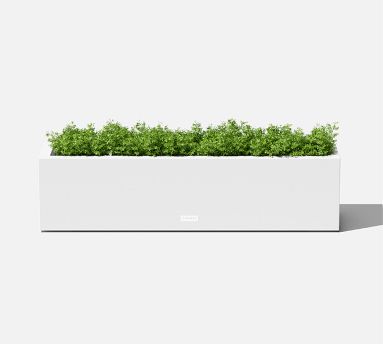 All Weather Eco Trough Outdoor Planters | Pottery Barn