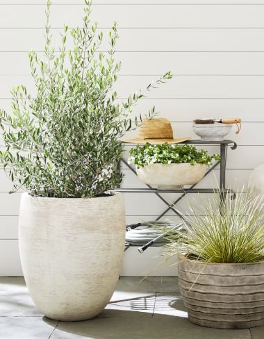 All In-Stock Planters &amp; Garden