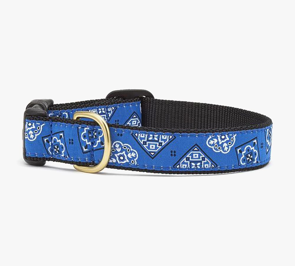 Patterned Collar with 5' Leash | Pottery Barn