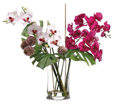 Faux Phalaenopsis & Orchid Mixed Arrangement | Pottery Barn