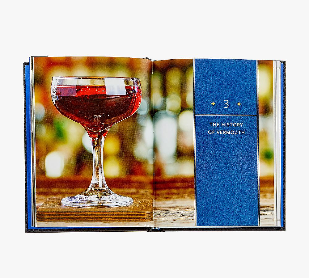 The Martini Field Guide By Shane Carley LeatherBound Book Pottery Barn