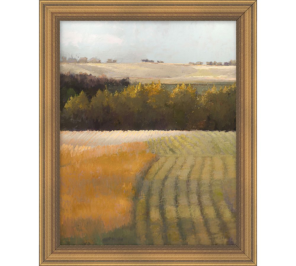 Golden Outlight Framed Canvas