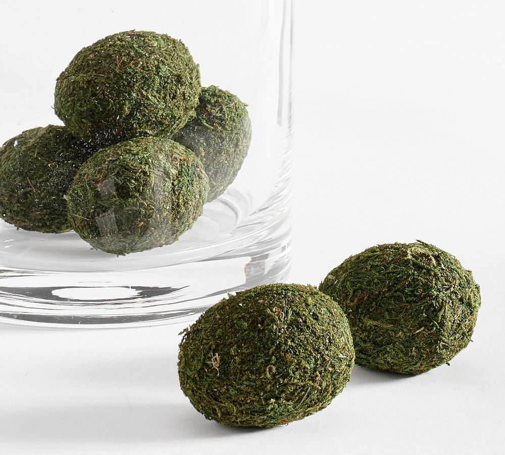 Moss Egg Vase Filler Set of 6 Pottery Barn