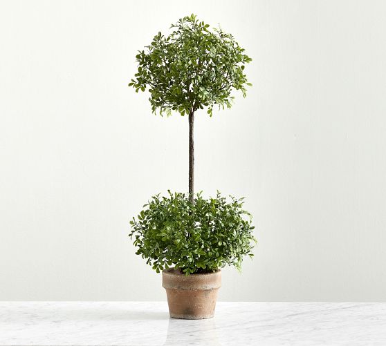 Faux Boxwood Topiary Pottery Barn