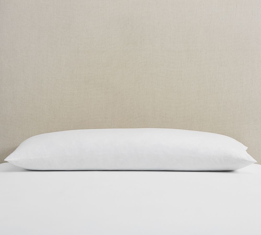 https://assets.pbimgs.com/pbimgs/rk/images/dp/wcm/202342/0009/oversized-lumbar-down-alternative-pillow-insert-1-l.jpg