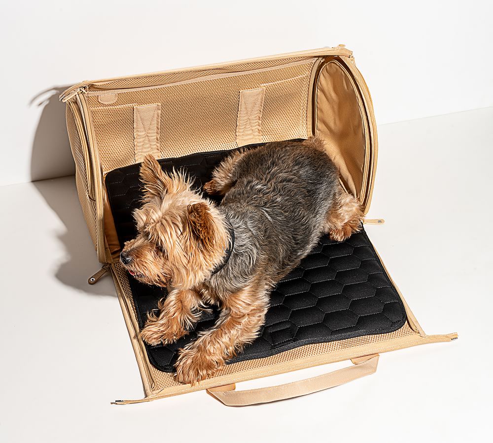 Pottery barn deals dog totes