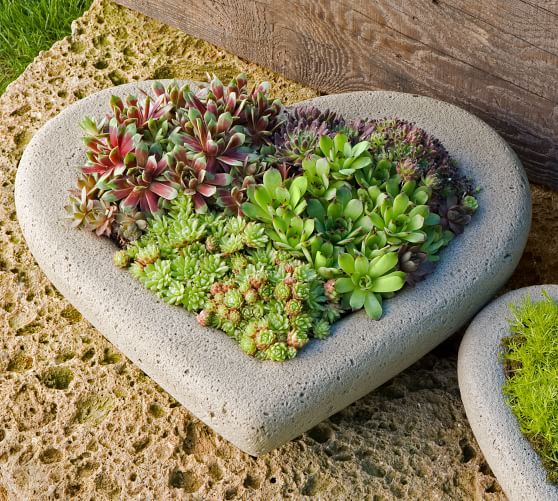 https://assets.pbimgs.com/pbimgs/rk/images/dp/wcm/202342/0185/sweet-heart-planter-collection-c.jpg