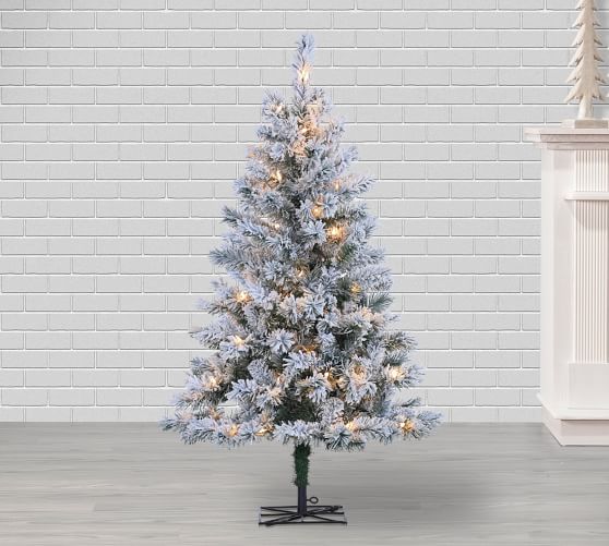 Lit Flocked Colorado Spruce Faux Christmas Tree 4 Ft Pottery Barn   Lit Flocked Colorado Spruce Faux Christmas Tree 4 Ft C 