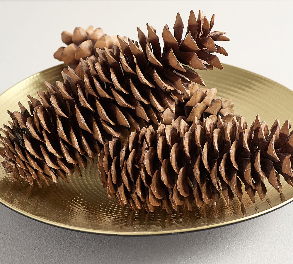 Pine Cone Taper Holder – Accents on Gifts