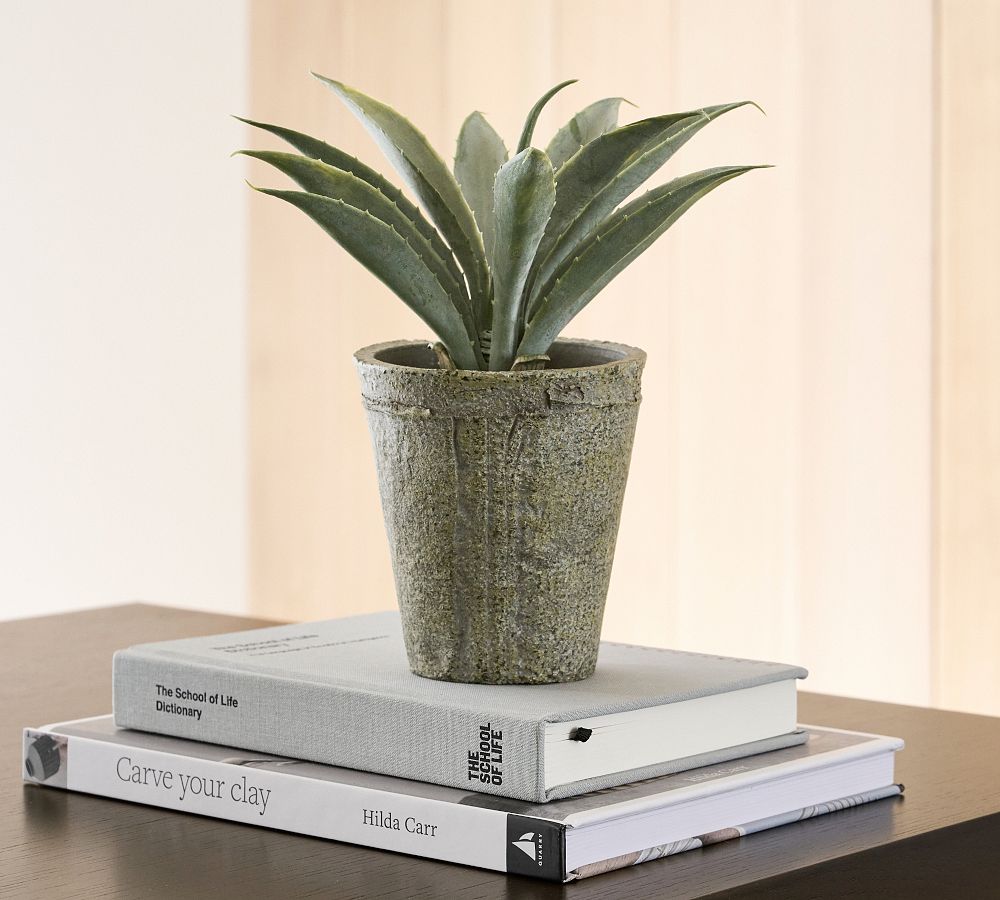 Faux Aloe Plant Pottery Barn