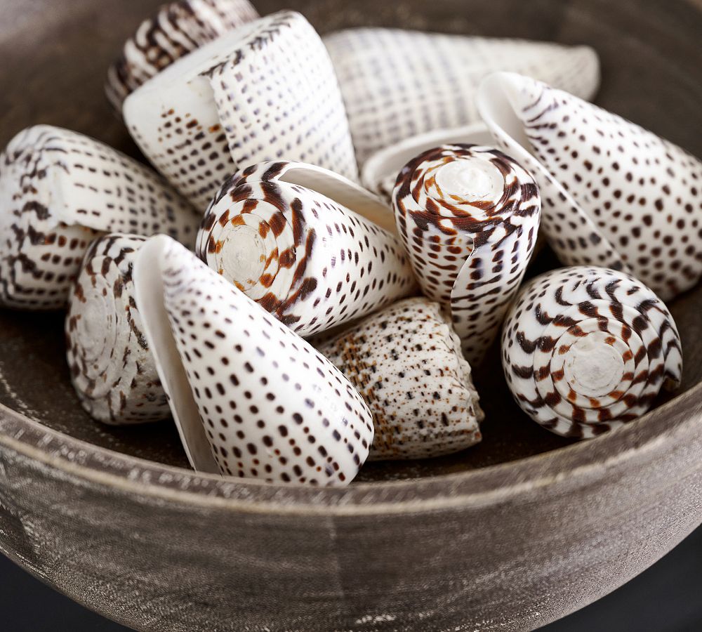 Footed Seashell Dish -  Canada