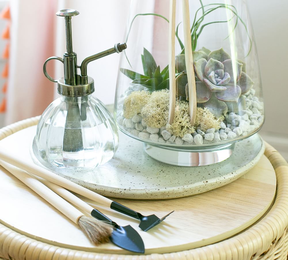 DIY terrarium hamper kit