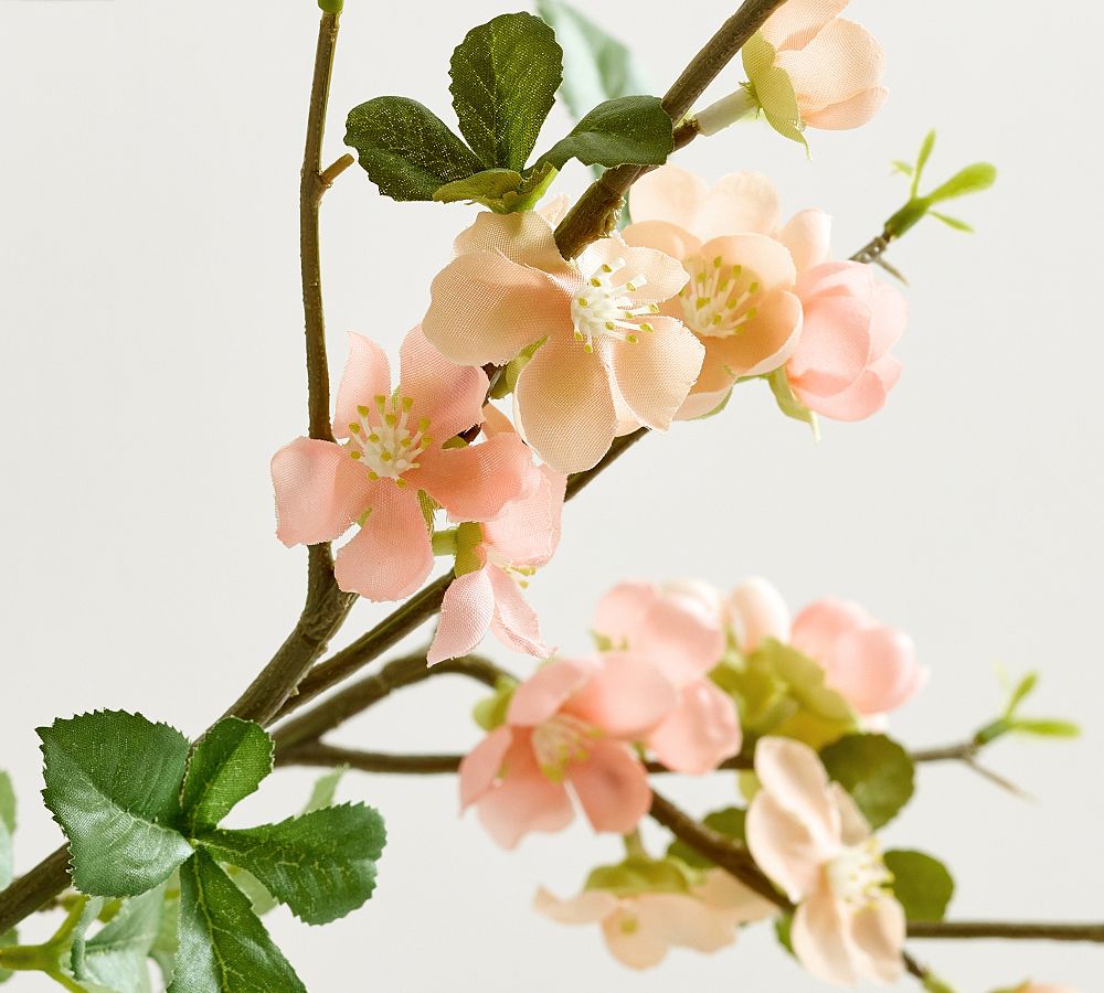 Quince Faux Blossom Bundle Pottery Barn