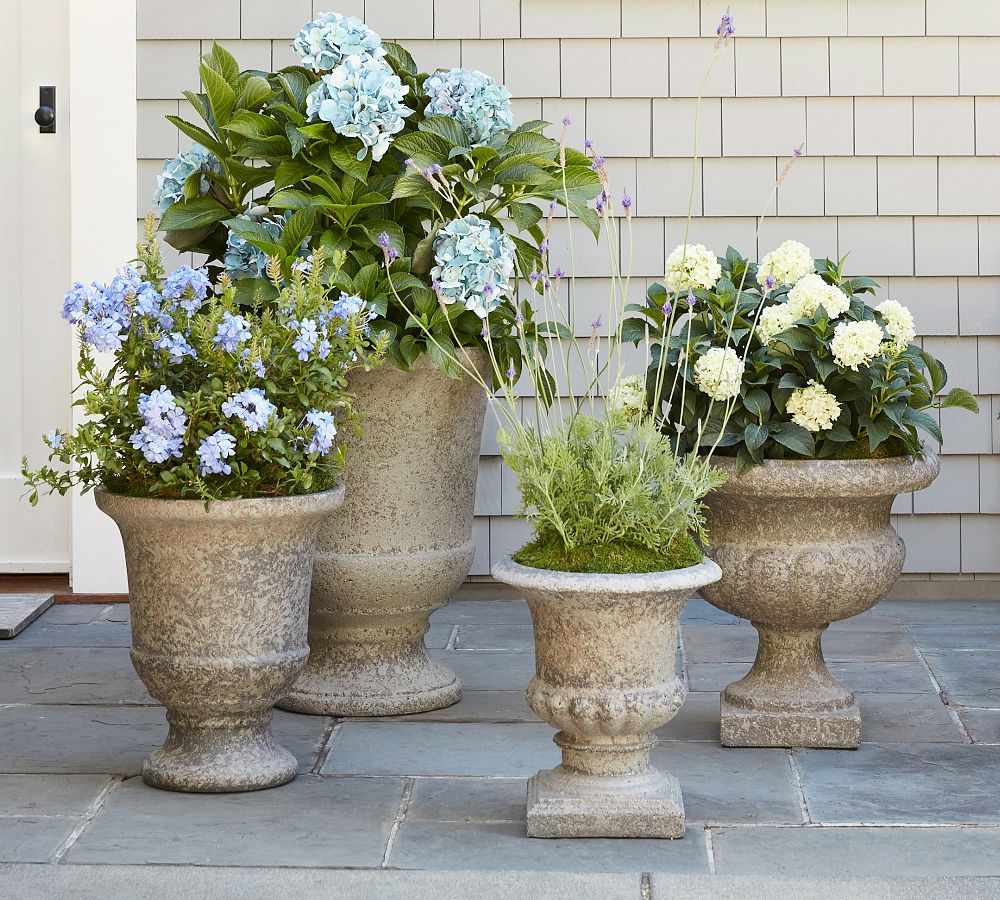 https://assets.pbimgs.com/pbimgs/rk/images/dp/wcm/202344/0006/chateau-traditional-urn-outdoor-planters-1-l.jpg