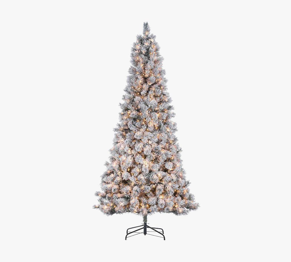 Lit Flocked Boise Pine Faux Christmas Trees Pottery Barn