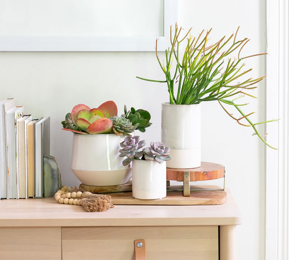 Organic Ceramic Tabletop Planters