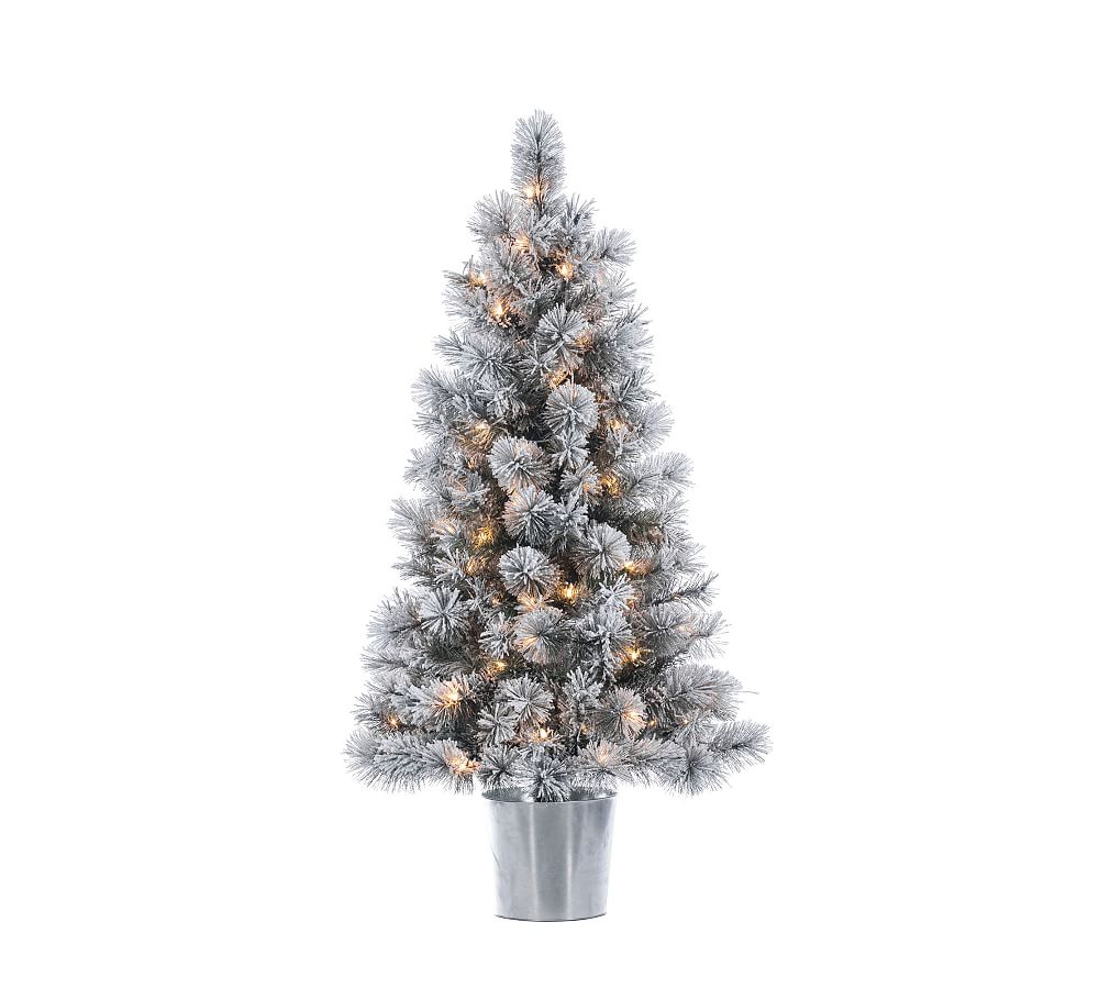 Lit Flocked Potted Faux Boise Pine Tree Pottery Barn
