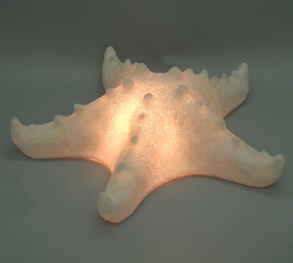 Whitewashed Starfish Pillow