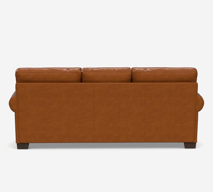 Buchanan twin store sleeper sofa