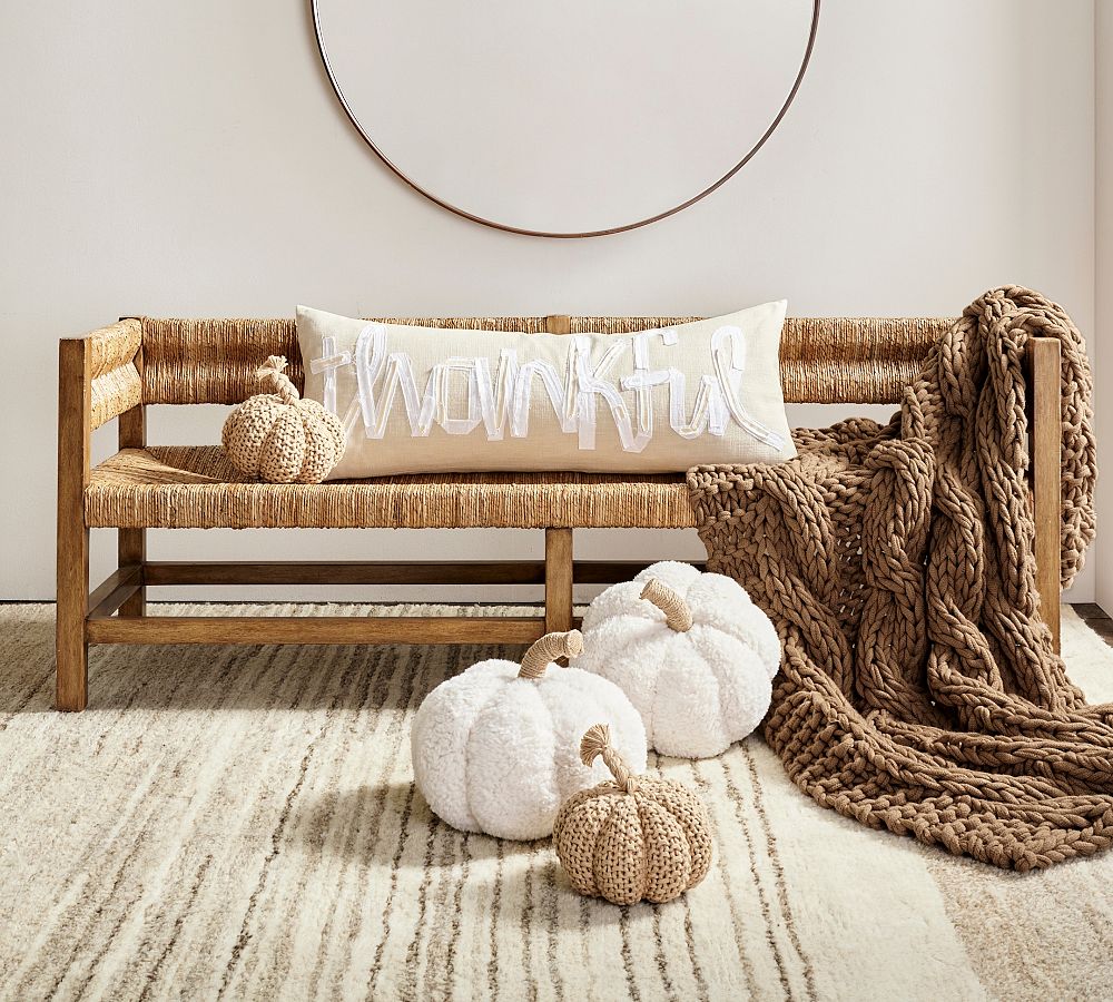 Cozy Pumpkin Pillow Pottery Barn