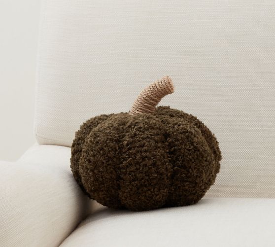 Cozy Pumpkin Pillow Pottery Barn