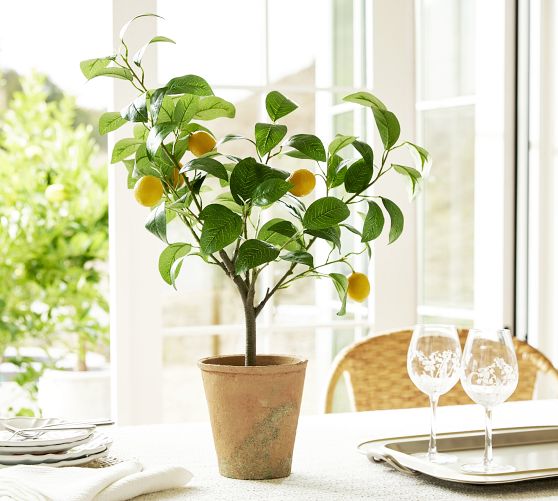 Monique Lhuillier Faux Lemon Tree Pottery Barn